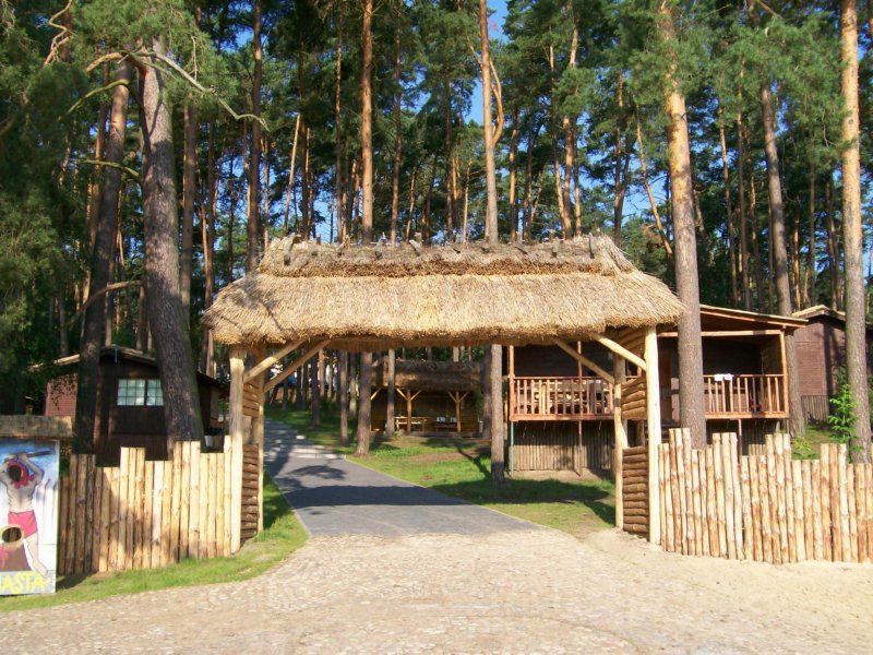 accommodation photo - red deer (21.08 - 28.02) hunting in Bydgoszcz