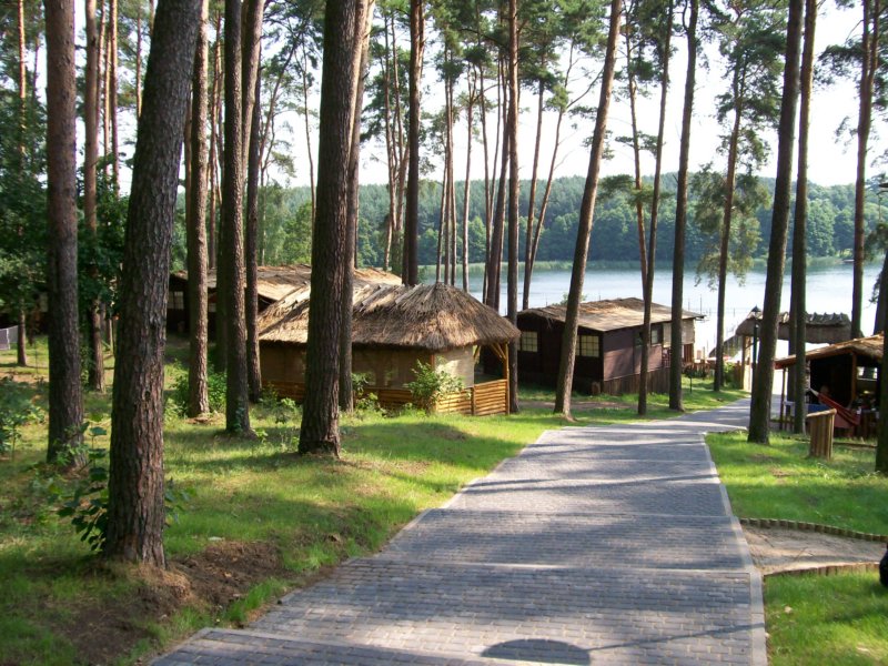 accommodation photo - red deer (21.08 - 28.02) hunting in Bydgoszcz