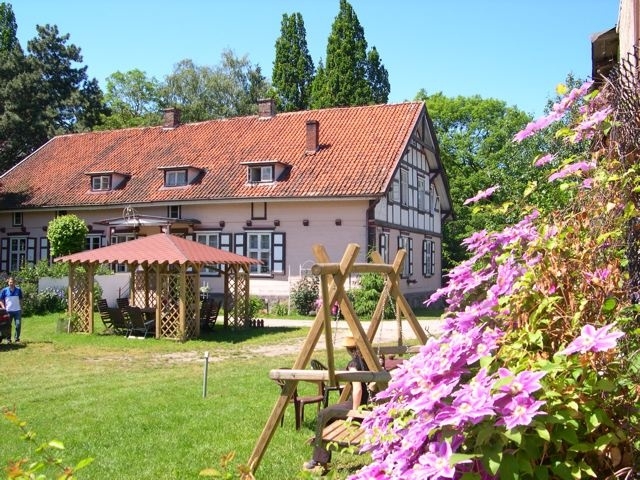 accommodation photo - roebuck (11.05 - 30.09) hunting in Elbląg