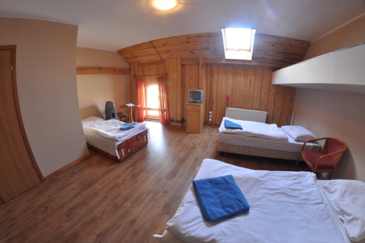 accommodation photo - roebuck (11.05 - 30.09) hunting in Kostrzyn