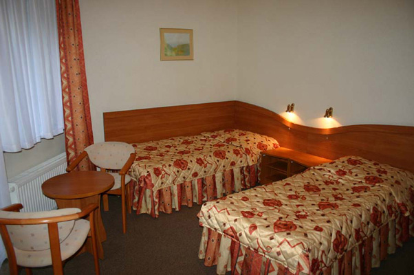accommodation photo - driven hunt (november / december) hunting in Międzychód