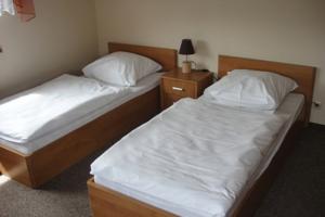 accommodation photo - roebuck (11.05 - 30.09) hunting in Nowy Dwor Gdanski