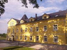 accommodation photo - roebuck (11.05 - 30.09) hunting in Opole