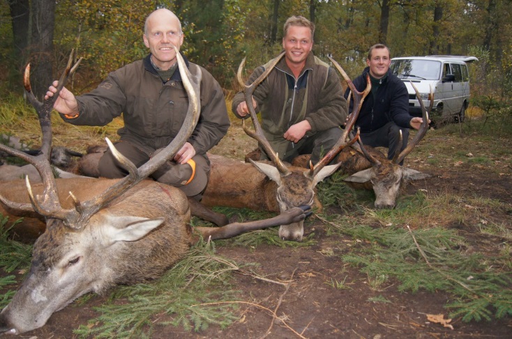 accommodation photo - driven hunt (november / december) hunting in Zielona Góra