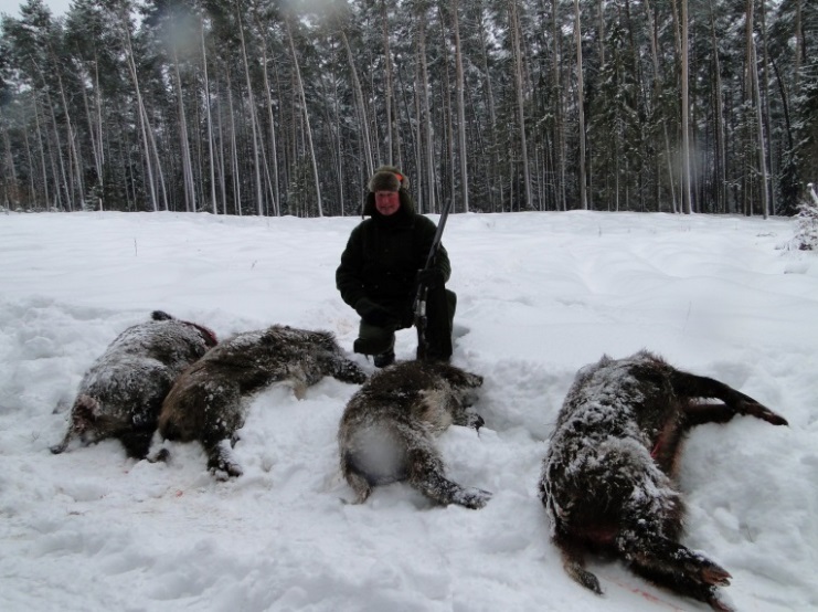 accommodation photo - driven hunt (november / december) hunting in Zielona Góra