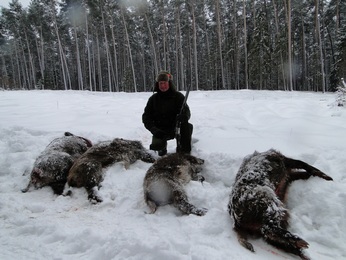 1 hunter and 4 wild boar shoot on 1st day driven hunt